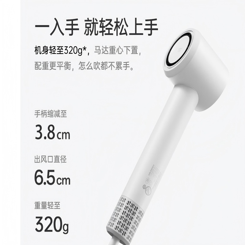 飞科(FLYCO)博锐高速电吹风机